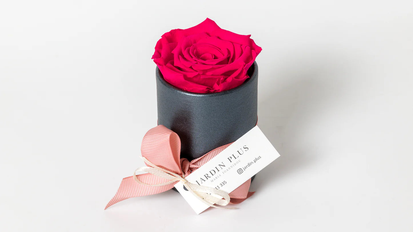 Just Like That - Φούξια